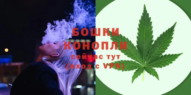 Бошки марихуана OG Kush  купить закладку  Белоозёрский 